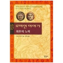 하나북스퀘어 로마인 이야기 13 최후의 노력