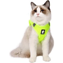 고양이캣휠 캣휠 고양이휠Heywean 고양이 하네스 및 목줄 - 초경량 탈출 방지 칼라 러, 01 X-Small_01 프룻그린