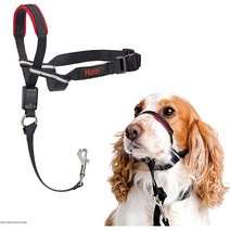 조절이쉬운 대형견 중현견 소형견 당김방지 젠틀리더 Halti Optifit Headcollar Bestselling Dog Head Harness, M