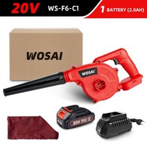 무선 충전 송풍기 고온용 축류 에어바운스 대포 양흡입 송풍기 wosai 20v 정원, 20v ws-f6-c1