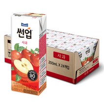 썬업 NEW 썬업 사과 200ml 24개