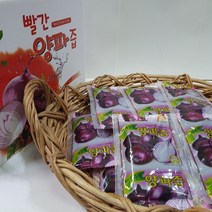 중리농원 빨간양파즙 50팩 + 맛보기 사은품, 100ml, 1박스