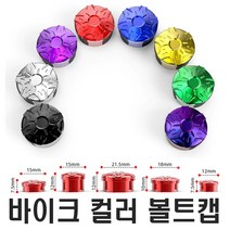 오토바이 방패무늬 볼트 캡 커버 바이크 컬러 튜닝 너트 덮개 XMAX NMAX PCX 포르자 SYM 크루심 보이저, 방패볼트캡(블루)