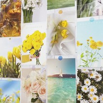 다꾸엽서 촬영소품