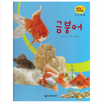 물에 사는 동물 34: 금붕어, 한국헤밍웨이, 9791185241340, 이재희