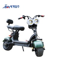 세계일주 성인 전기 자전거 800W 48V 12A 35-50km 주행가능거리 여성용 전기자전거 CK32, 녹색