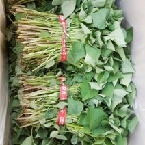 맛있는 농장 호박고구마 모종 10kg(4월1일부터예약주문받습니다), 호박고구마 모종 10kg, 4월 28일 도착