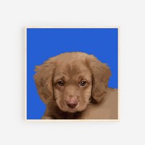 모두의팩토리 일러스트 강아지 나무액자 20종 반려견 우드 벽걸이액자 액자, AI18.골든코커