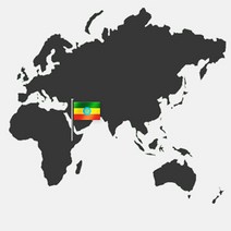 Ethiopia Mocha Harrar 원두커피 500g CH1514986, 중간분쇄_더치, 하라