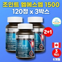 코스트코 캐나다 프리미엄 MSM 엠에스엠 앤 조인트 글루코사민 조인트 복합제제 고관절 무릎 관절 영양제 먹는유황 상어연골 분말 초롱이홍합, 3박스