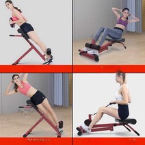 홈짐 척추 기립근 체어 기구 백인스텐션 로만 로망, 플래티넘 화이트