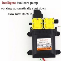 고압살수기 동력분무기 엔진분무기 농약분무기 125psi Dc 12v 9l/min 농업 전기, 01 12v Intelligent