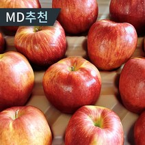 [당일수확발송] 부사 홍로 빨간사과 고당도 가정용 꿀 사과, 1개, 3kg 소과(15-16과)