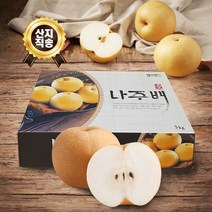 (웰빙나주배농장) 명품 햇살품은배 나주배 신고배 가정용 7.5kg 8~13과내외 제수용/가정용, 단품