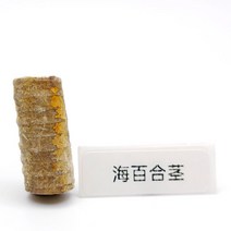 100종 천연 고생물학 삼엽충 암모나이트 어류 식물 화석 원석 수집키트 조개껍질 광물, Q. 바다나리 줄기