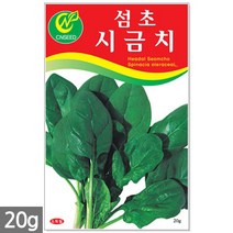 노랑 당근 씨앗 2000립 - 씨 당근씨앗 당근씨 노란색당근 노랑당근씨앗 노란당근 주말농장 텃밭, 08_섬초시금치(20g)