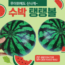 비치볼 [수박비치볼] 비치볼/칼라비치볼/무지비치볼/삼색비치볼/돼지비치볼/물놀이공/물놀이용품/탱탱볼, 무지탱탱볼