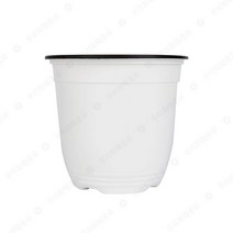 우리화훼종묘 칼라포트(모종 컵 포트) 백색포트 170
