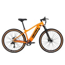트위터자전거 E300후륜구동 RS10단 350W 13A, 100%완조립배송, 17/27.5, 블랙레드