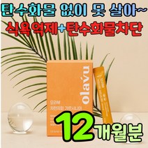 체지방 분해 탄수화물 지방 합성 방지제 차전차피환 장이안좋을때 가르시니아 차전자피 차천자피 차천차피 자전자피 자전차피 여자 뱃살 남자 배살 과식했을때 다이어트 보조제