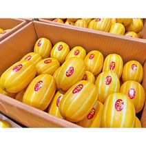 허니삼구 특품 아삭아삭 꿀 참외 2.5kg내외 5kg내외 10kg내외, 1박스, 참외5KG내외(11-18과)대과