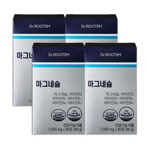 닥터루템 자연유래 쌀 발효 마그네슘 산화 마그네슘 비타민D, 4개, 360g