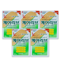 일동제약 케어리브 밴드 16p, 5개