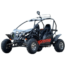 사륜바이크 가솔린 산악 사륜 오프로드 라이딩 동호회, 125cc 카트