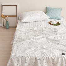 [자자홈]썸머드림 풍기인견 홑이불베개세트S