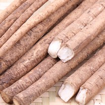 우엉 4kg 팔팔마켓 중국산 수입 세척 생우엉 뿌리판매, kg