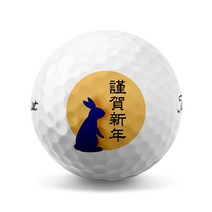 41 2023년 계묘년 토끼띠 소량 제작 커스텀 골프공 (12구), 브리지스톤 투어 B XS 12구 화이트, D