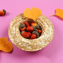 도토리 모형 소품 가을 장식 인조 인테리어 촬영소품, 단일옵션, 본상품선택