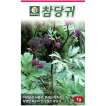 개똥쑥 10000립 - 씨 씨앗 개똥쑥씨앗 개똥쑥씨 나물씨 나물씨앗 민속채소 채소씨 채소씨앗 잔잎쑥 개땅쑥 쑥씨 쑥씨앗, 30_다농_참당귀(1g)