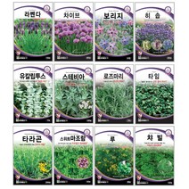 오레가노 유칼립투스 라벤다 오레가노 라벤다 로즈마리 페퍼민트 보리지 허브씨앗 타임 바질 카모마일 차이브 딜 레몬밤 세이지 히솝 소렐 유칼립투스 키우기 심기 재배 정원가꾸기, 오크라100립