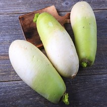 제주직송 제주 월동무 세척무 4kg특품(개당 500g~1kg), 단품