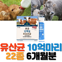 6개월분 초유 단백질 엔 유산균 180포 배변활동 원활 프락토 올리고당 장내 유익균 락토바실러스 비피더스균 고단백 결정체 면역 글로불린 락토페린 성장인자 비타민 A D E