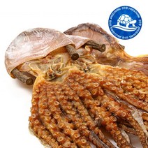 장수왕 피문어 (왕대 65cm전후) 1마리 /말린 문어 제수용 약문어 건문어, (왕대)65cm전후