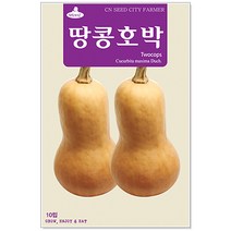 땅콩호박씨앗 10립 호박씨앗(C0107)