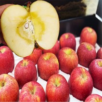 [명가 산지직송]알뜰 가정용사과 5kg 9kg (포장재포함) 흠과 사과, 02.알뜰흠집 가정용사과 9kg내외 흠과