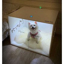 강아지방음부스 반려동물 강아지집 펫하우스 케이지, 화이트