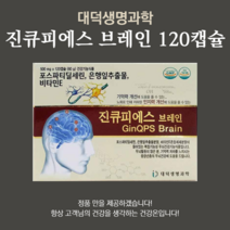 진큐 피에스 브레인 120캡슐, 진큐피에스브레인 120캡슐, 1개