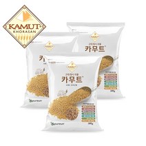 카무트 고대곡물 이집트 호라산밀, 500g, 3개