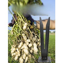 땅콩 수확기 탈곡기 타작기 탈립기 1+1, 단일사이즈, 땅콩 따기 3팩