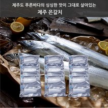 제주은갈치(제이앤와이) [제주나라]제주은갈치 대왕특대사이즈 550g3마리 분량(총 12토막), 1