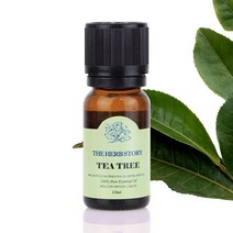 아로마테라피 티트리 12ml 에센셜 마사지 오일 페퍼민트오일 올리브오일 아로마오일 족욕 마사지오일 achomarket*48460625Nx, 1, 본상품선택