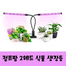 점프팜 LED식물등 크로톤키우기 새싹채소 미니다육이, 본상품선택