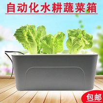 수경 재배 시설 재배기 상추 채소 키우기 화분 딸기 스마트 새싹 유기농 인테리어 베란다 가정용 HA13, 워터 펌프 포함, 단일사이즈