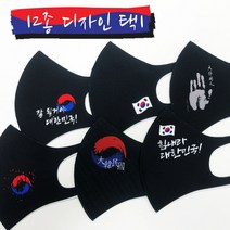 태극기 마스크 힘내라 대한민국 마스크 12종 택1 국산 빨아쓰는 마스크, 2번, S (아동)