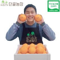 제주 산지직송 우수농산물(GAP) 인증 선물 1위 게르농법 고당도 레드향, 레드향 / 5kg / 정품 / 17~20과내외