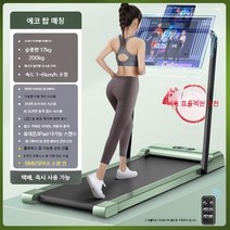워킹패드 이고진 저소음 가정용 실내 접이식 워킹머신 런닝머신 홈트레킹, K